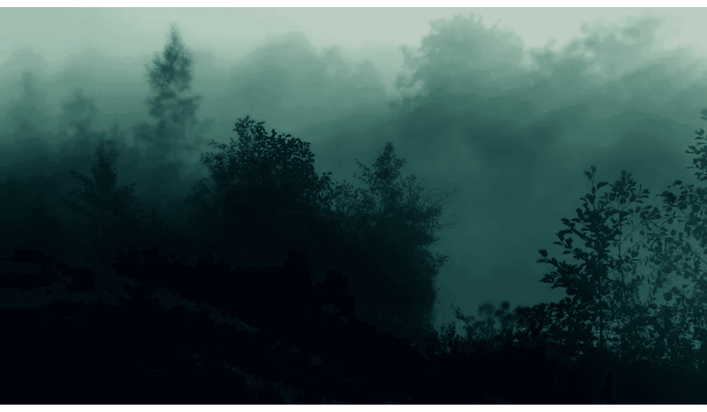 Moonlit forest with mist
